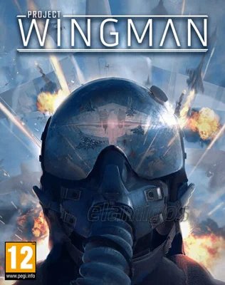 Project Wingman