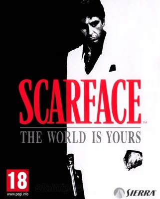 Scarface The World is Yours