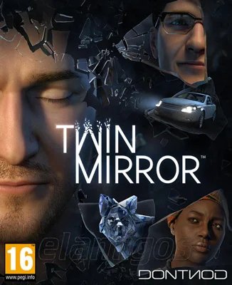 Twin Mirror